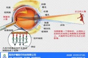 怎么测瞳高，配眼镜怎么测瞳高