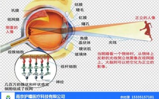 怎么测瞳高，配眼镜怎么测瞳高