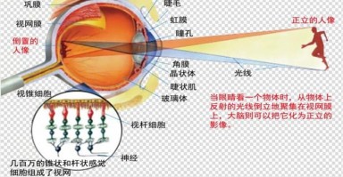 怎么测瞳高，配眼镜怎么测瞳高